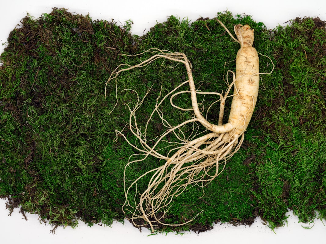 Natural energy supplements research